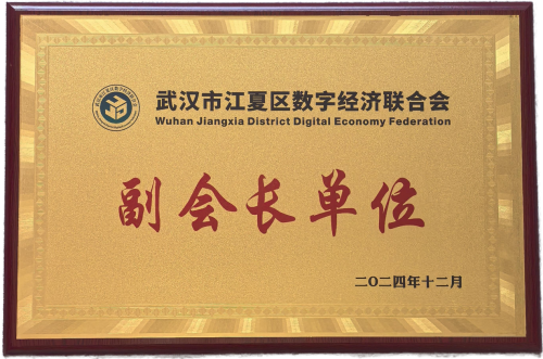 武漢龍媒榮膺江夏區數字經濟聯合會副會長單位，以網絡產品研發與運營賦能區域數字經濟發展
