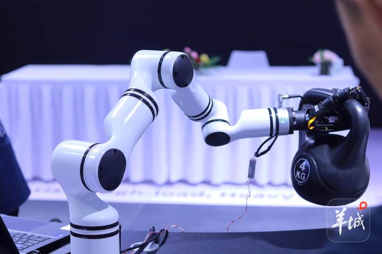 發(fā)布123款新產品，融資14.81億元 2025世界機器人大會展現(xiàn)行業(yè)強勁動能