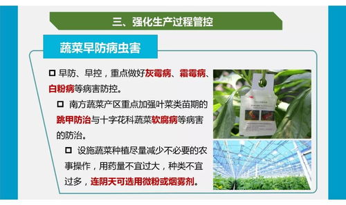 疫情防控下農產品質量安全與網絡游戲產品經營雙軌操作指南